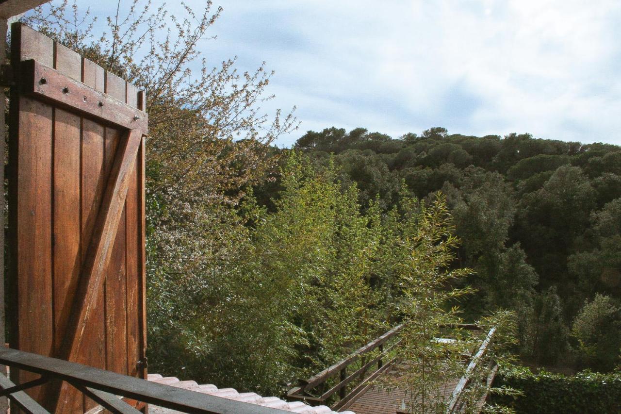 Casa Magnolia Villa Dosrius Kültér fotó